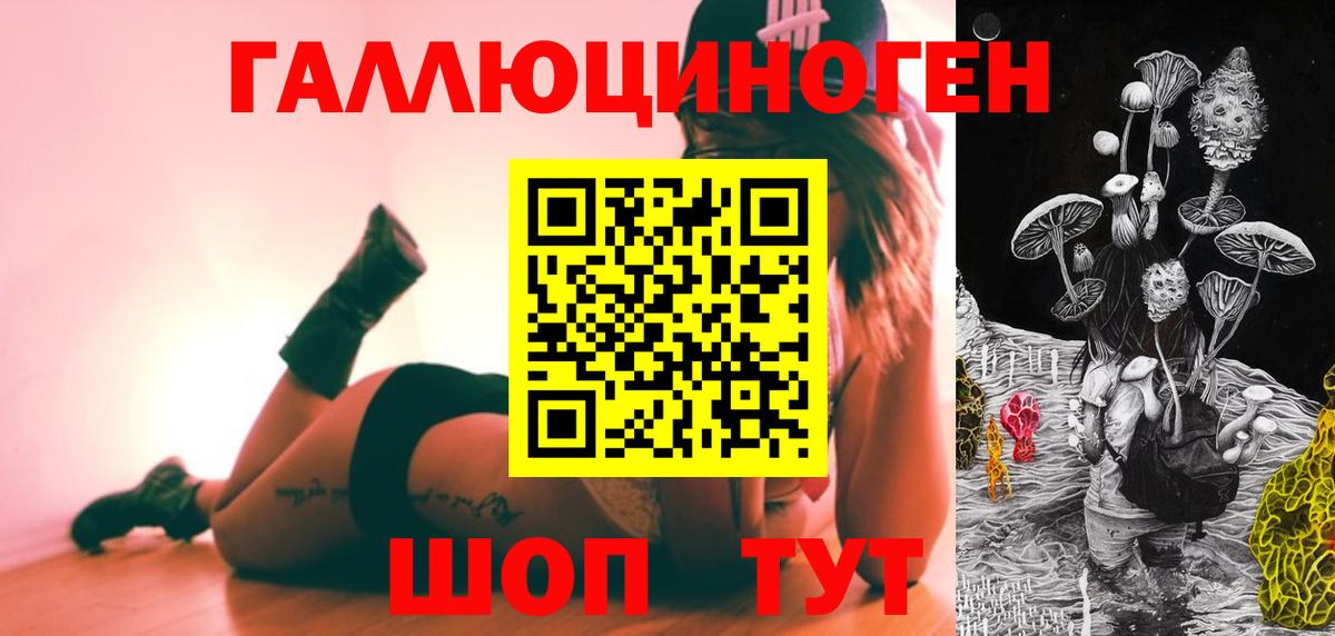 Псилоцибиновые грибы GOLDEN TEACHER Новочебоксарск